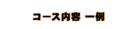 コース内容　一例